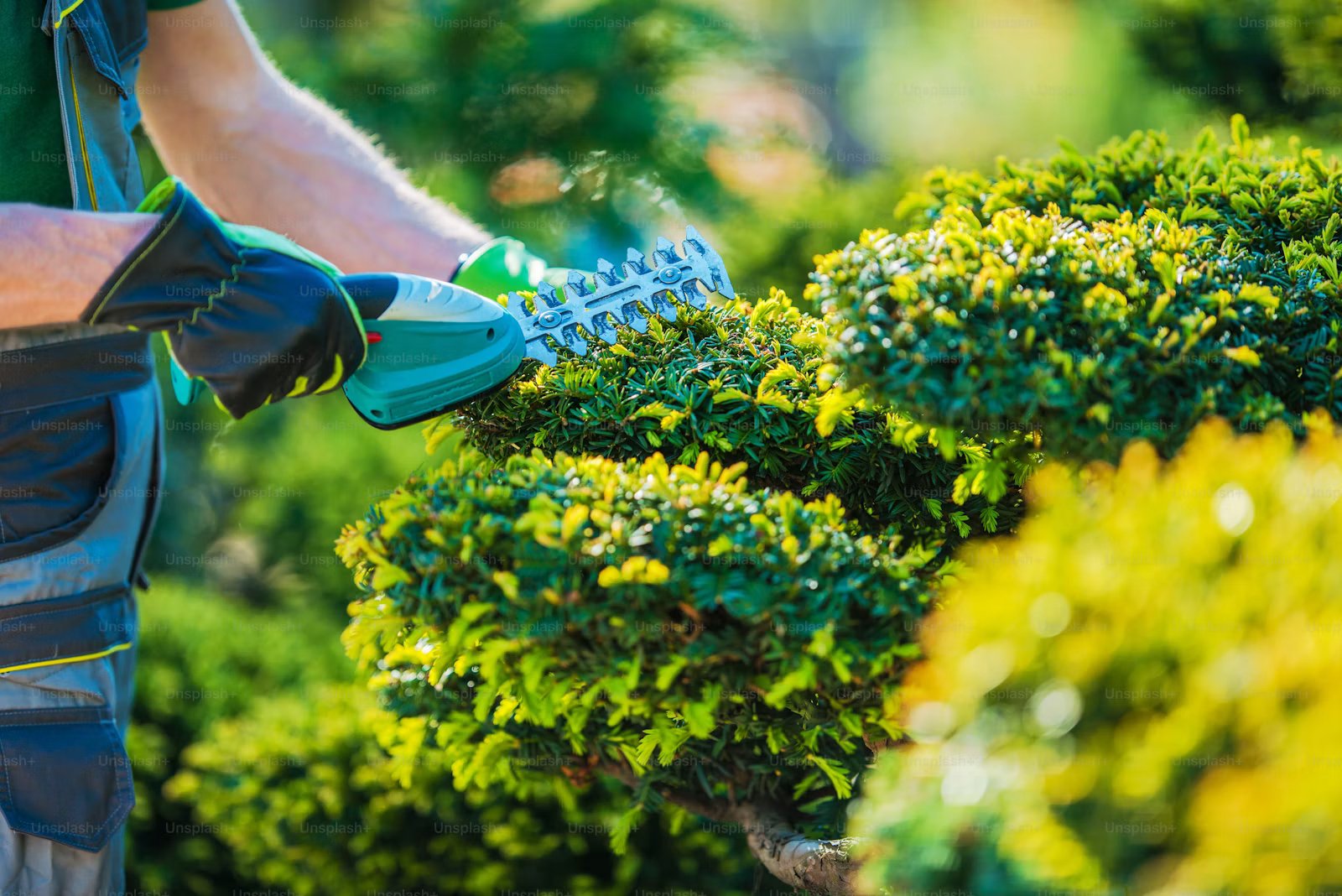 Illustrative Landscaping image 3