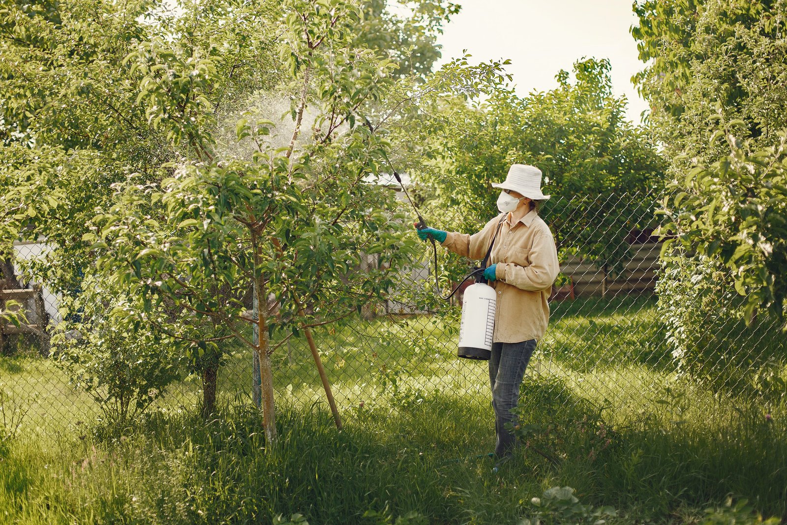 Paratex Pest Control — Pest Control in seattle